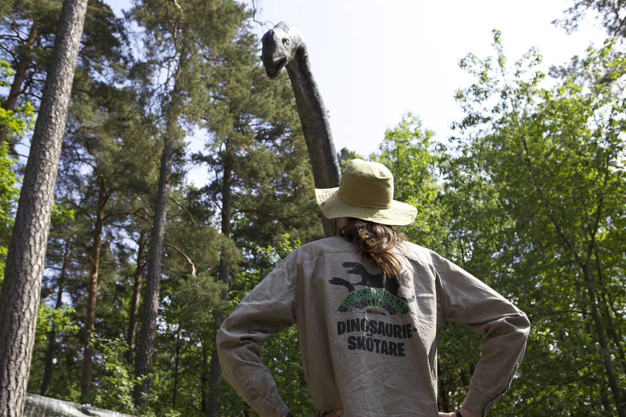 Häftigt sommarjobb: Dinosaurieskötare