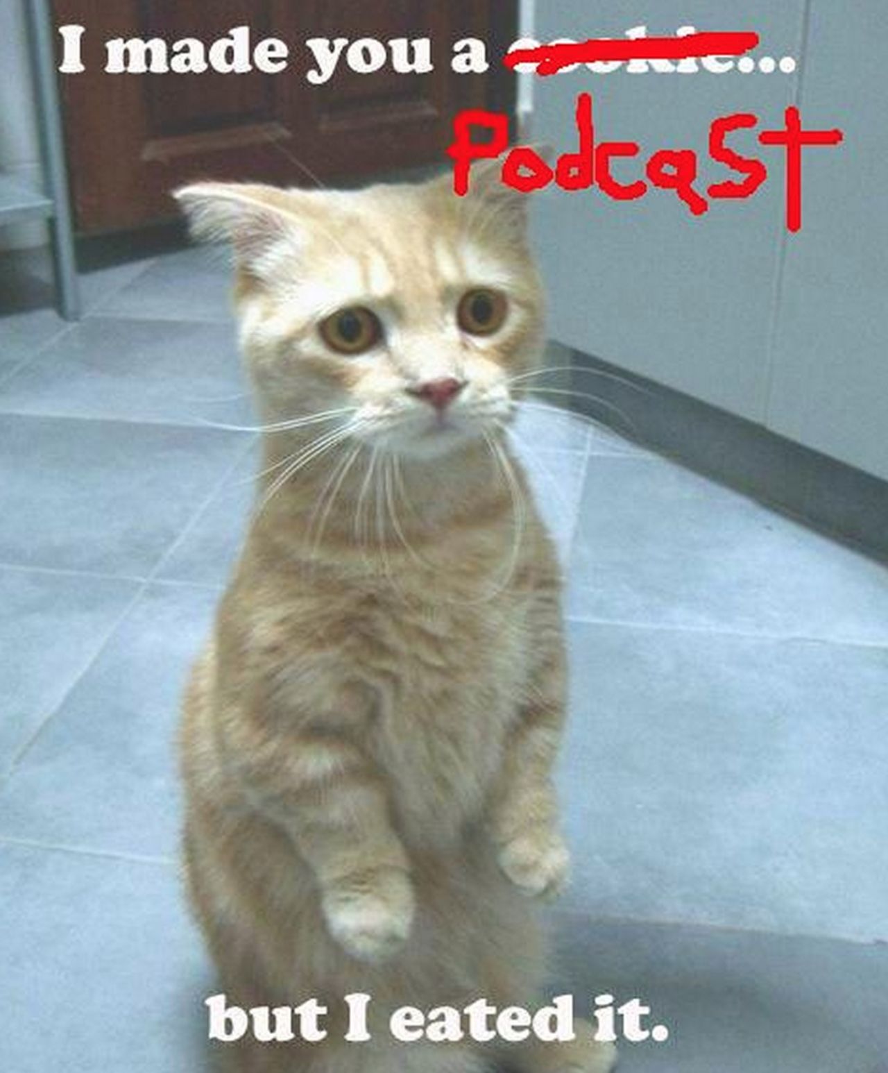 Podcastfail