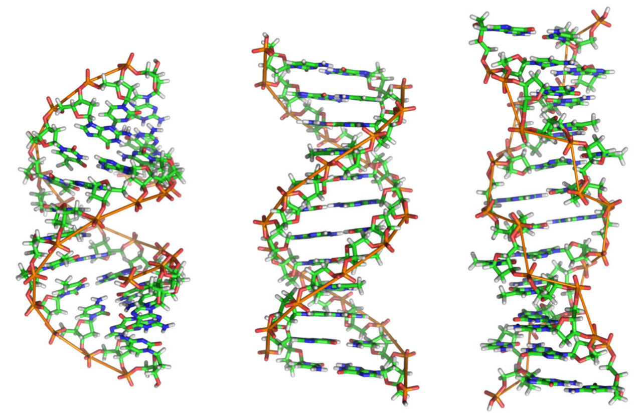 Det ska inte gå att ta patent på mänskligt DNA