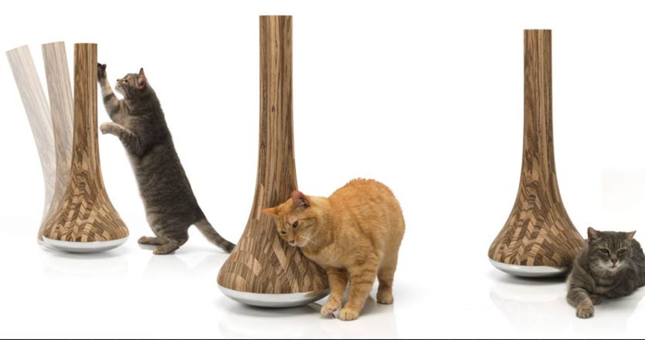 Leo - julklapp till katten?