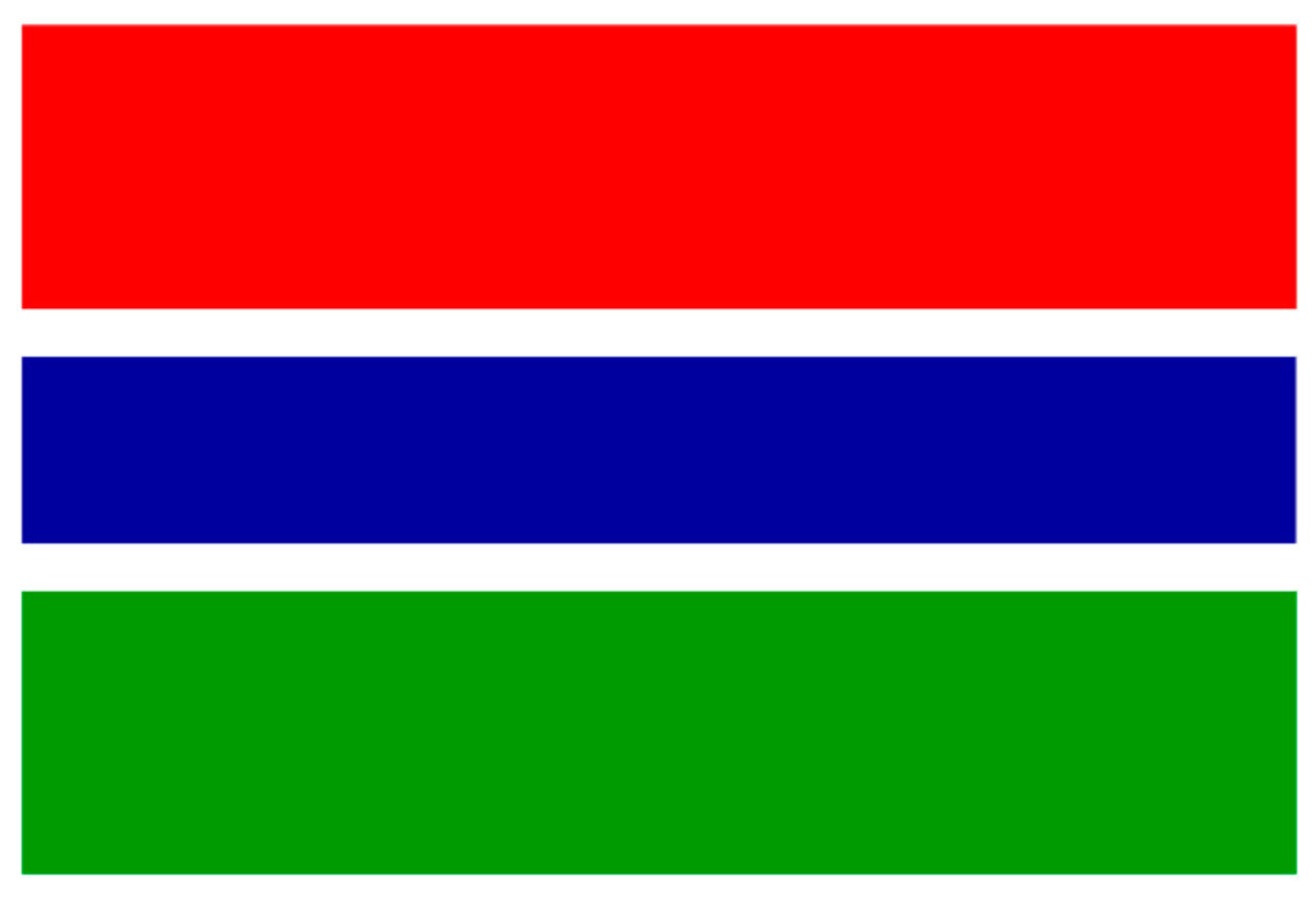 Gambia inför nya internetlagar