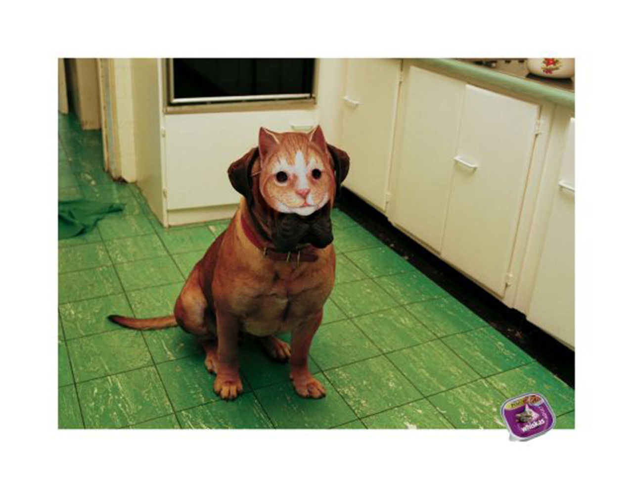 Whiskas