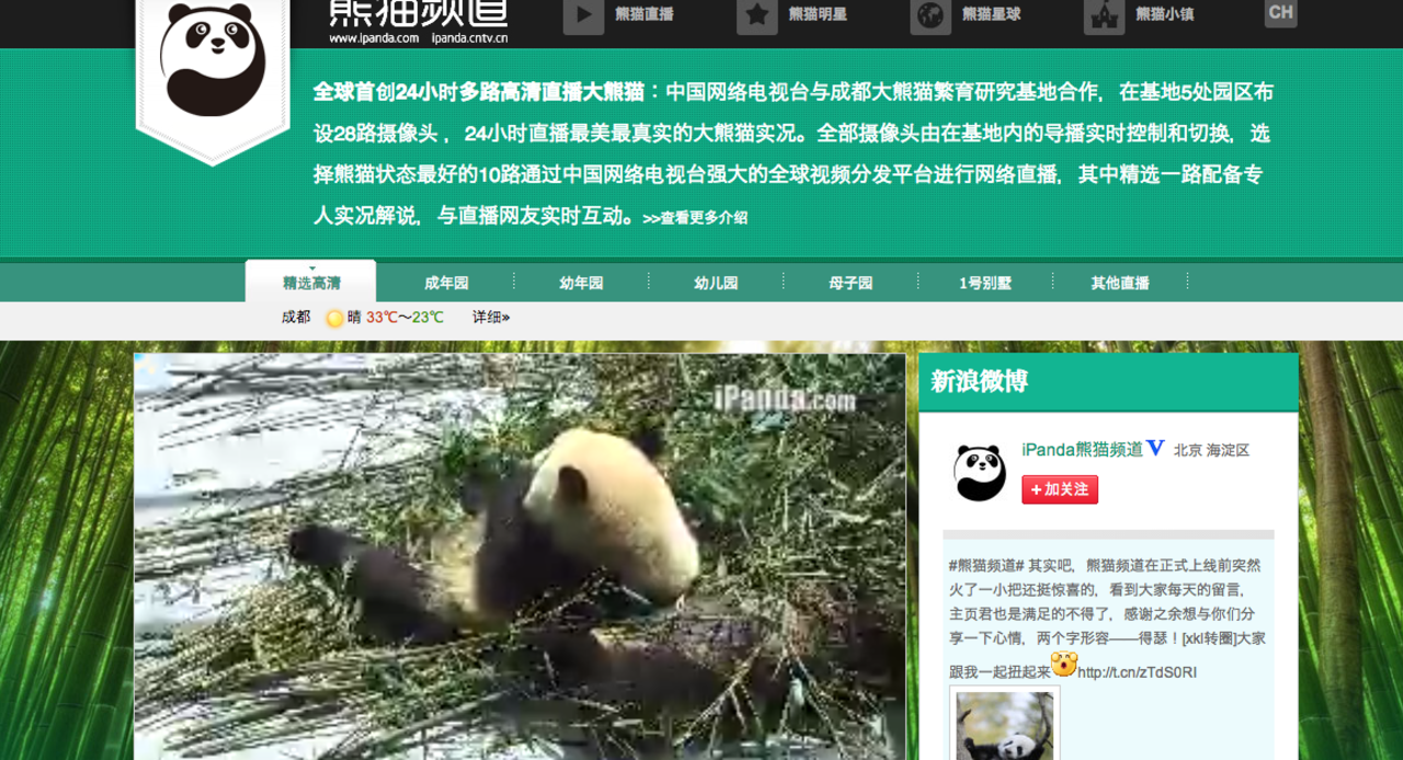 Livestreama pandor dygnet runt