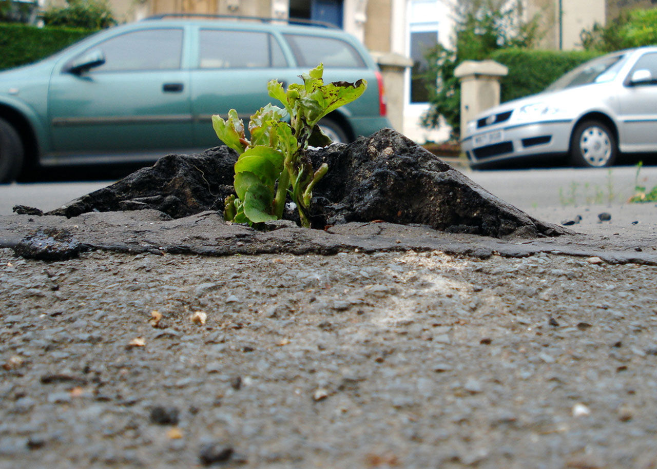 Sömnig bakom ratten? Det kan bero på vägbullret