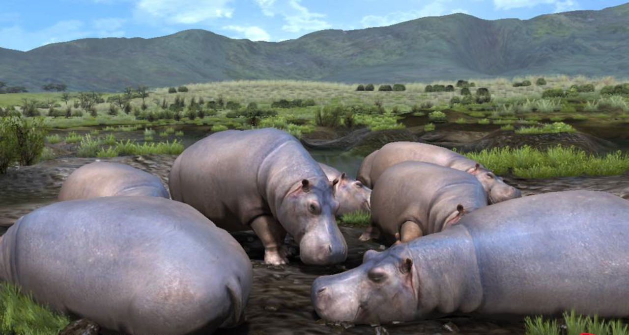 Ny trailer for Afrika