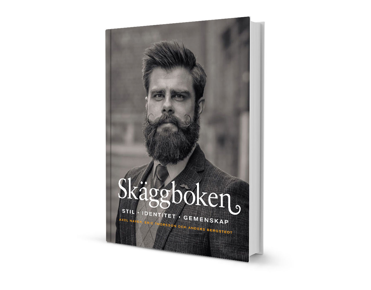 Skäggbloggens bok snart här
