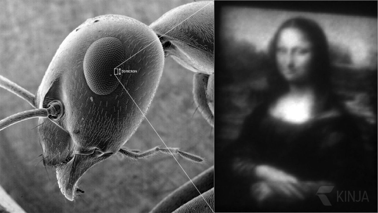 En väldigt, väldigt liten Mona Lisa