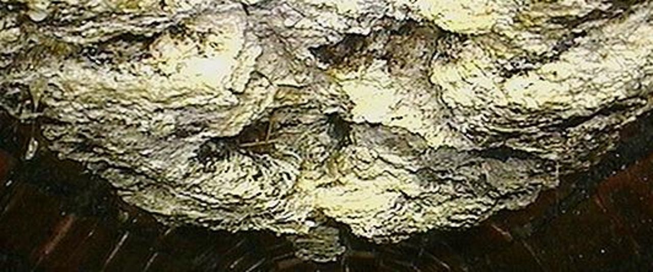 Brittiskt fettberg vägde 15 ton