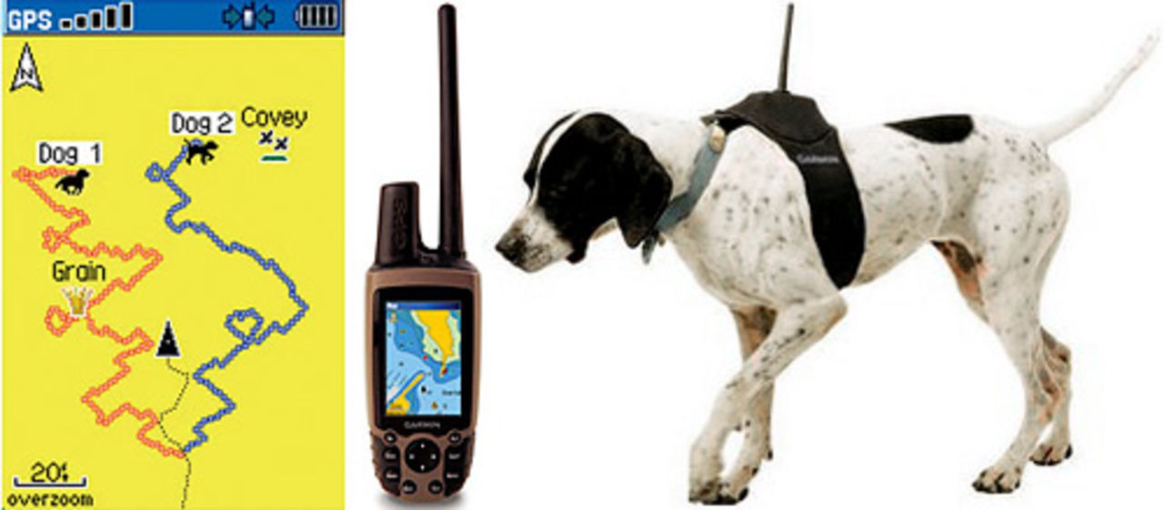 En GPS till hunden från Garmin