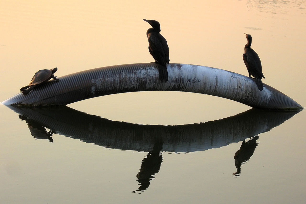 Olaglig sprit-pipeline hittad mellan Kazakstan och Kirgizistan