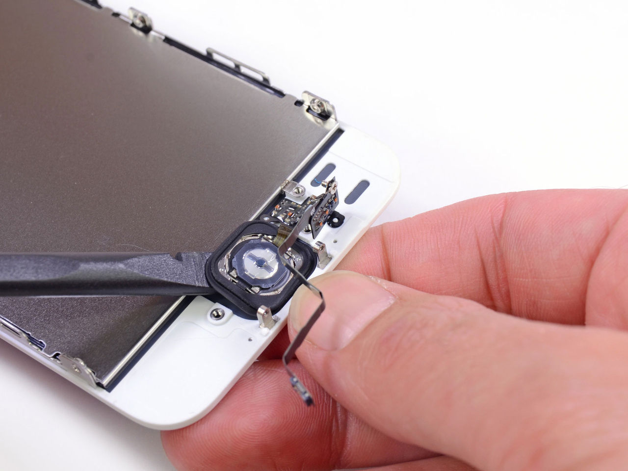 iFixit plockar isär iPhone 5S