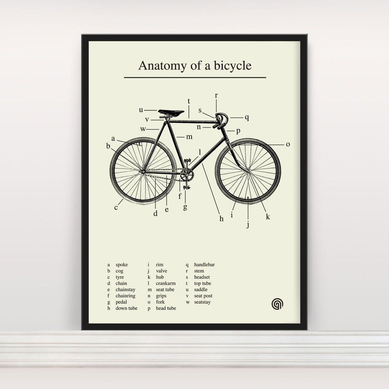 En cykels anatomi