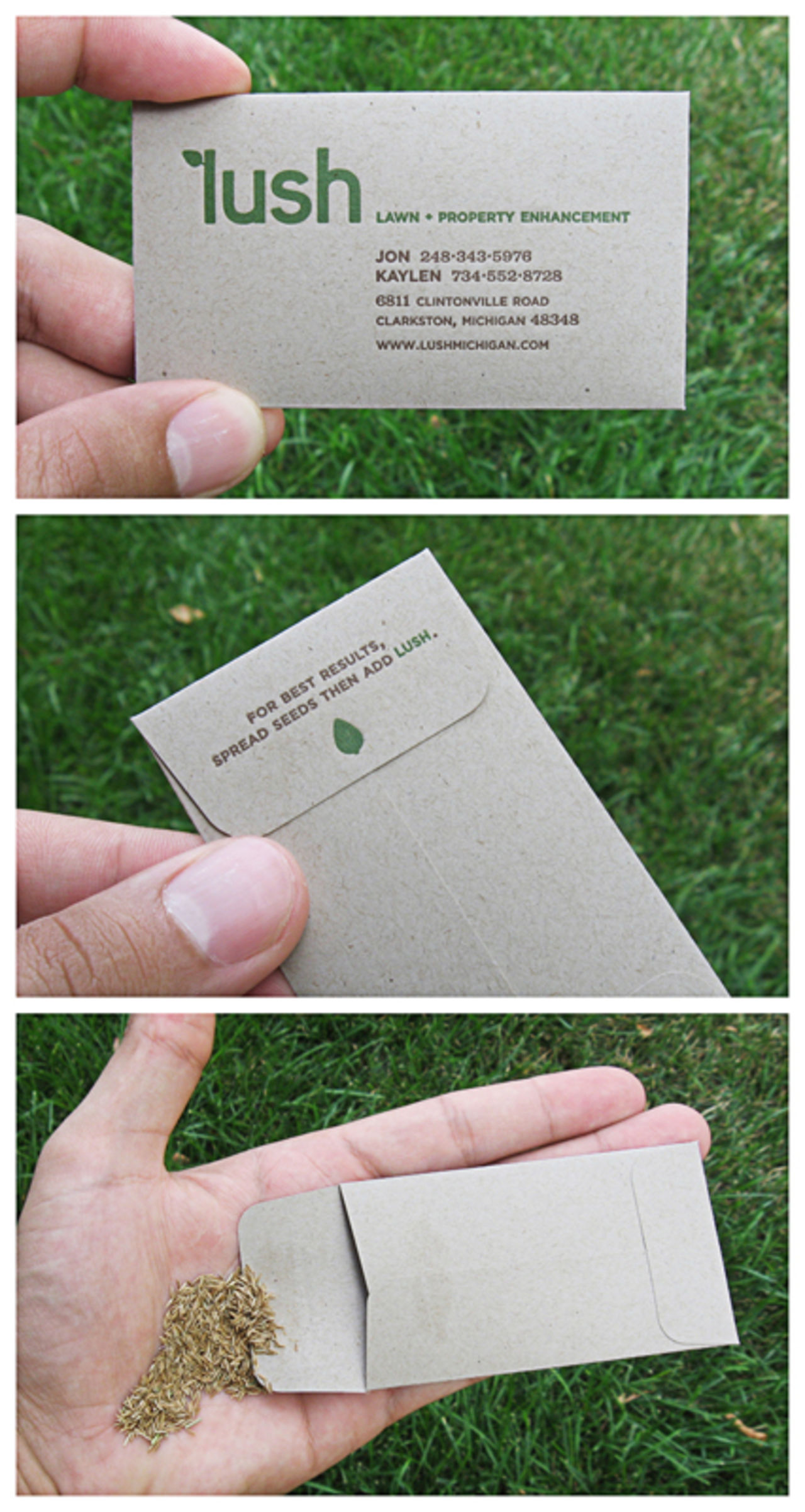Lush Lawn and Property Enhancement
