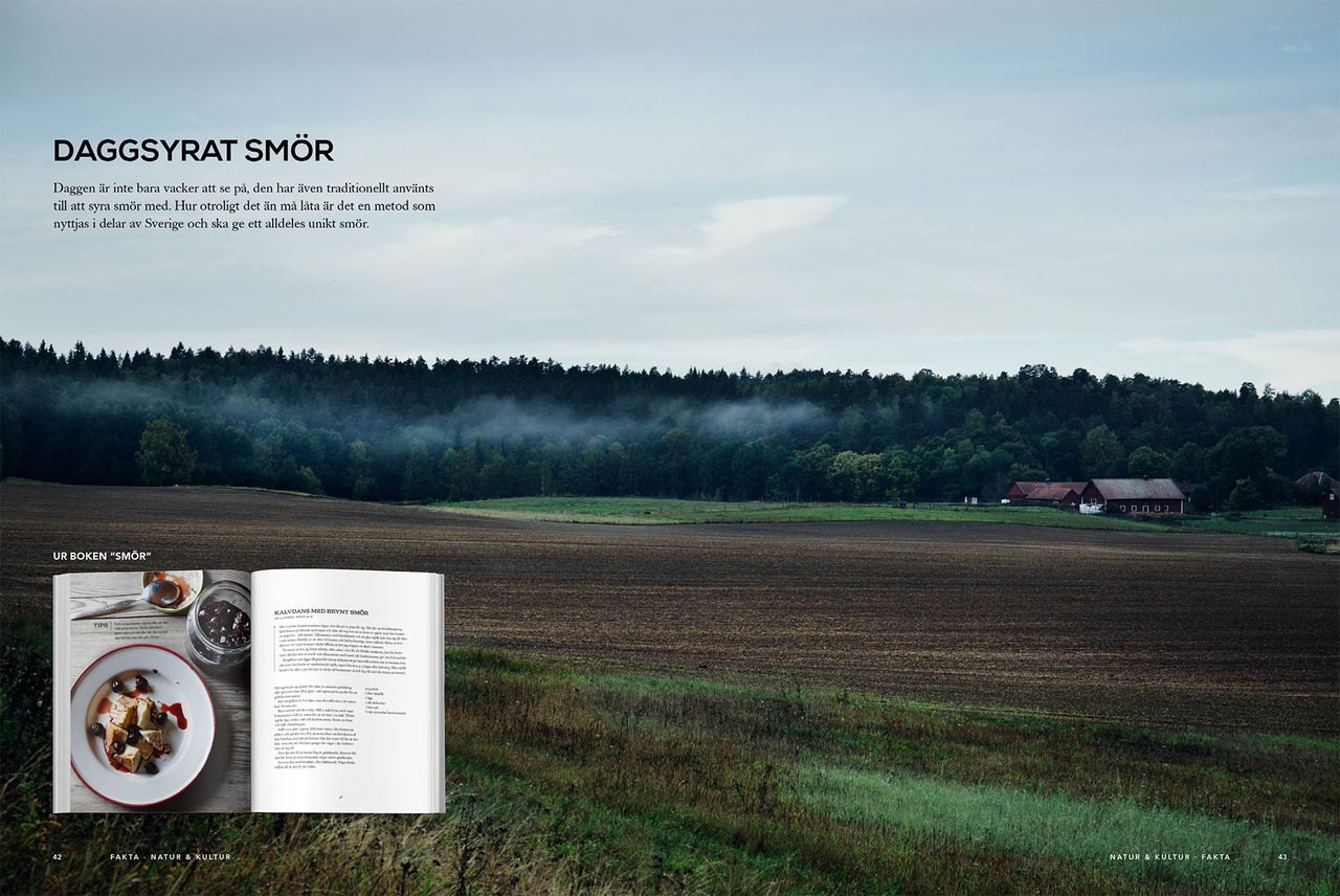 Ny kokbok bara om smör