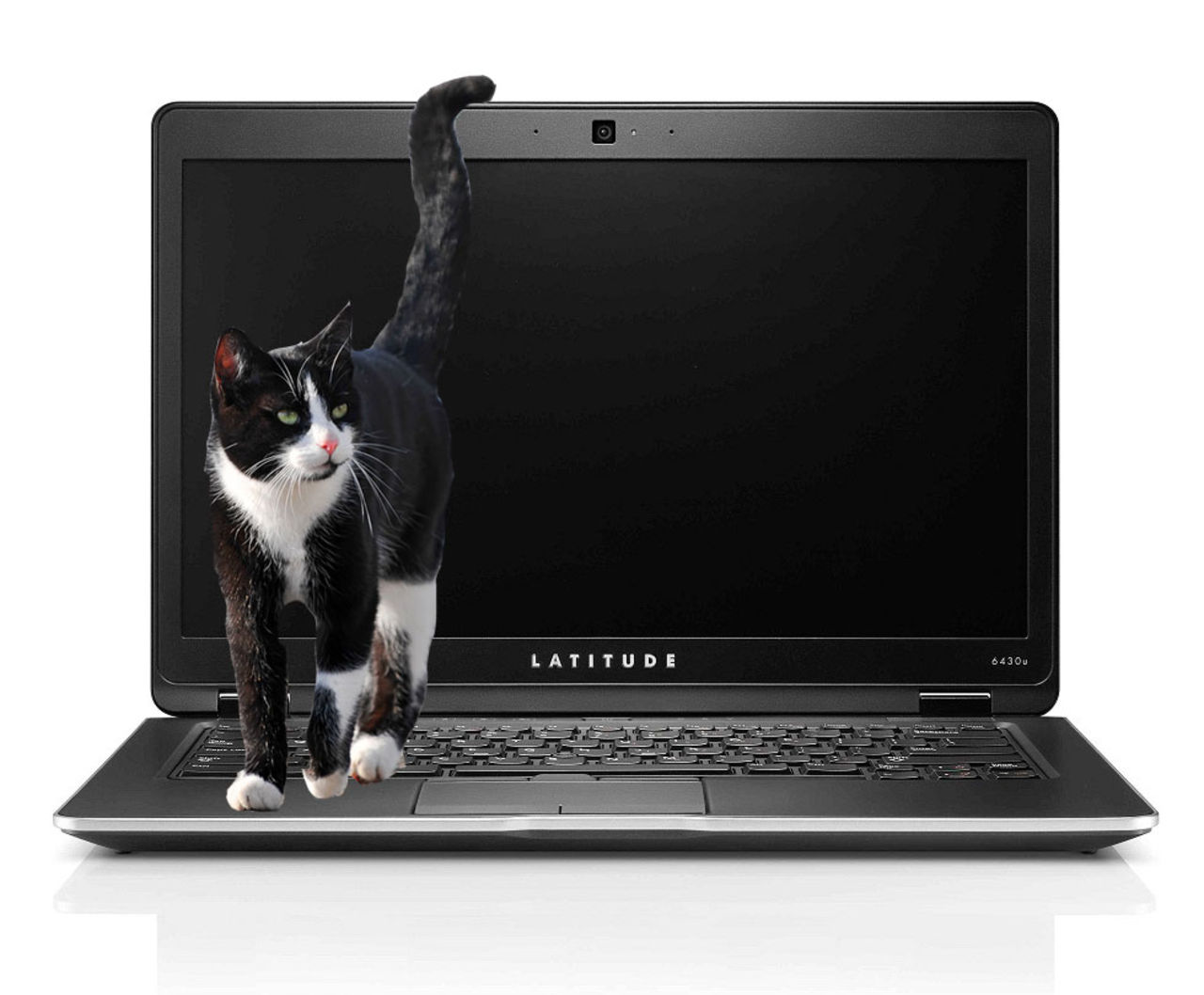 Vissa nya Dell-datorer luktar kattpiss