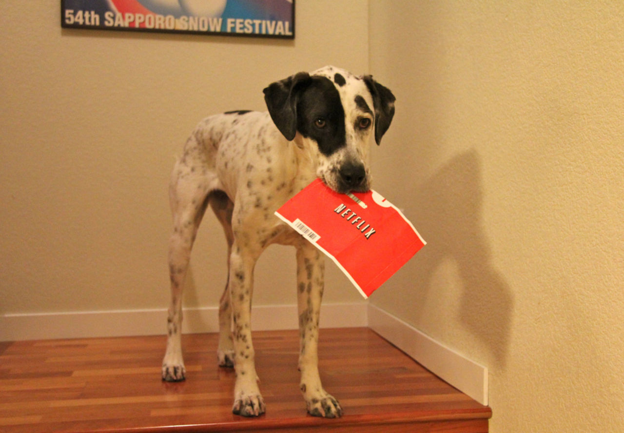 Netflix kan tänka sig att göra fullängdsfilm