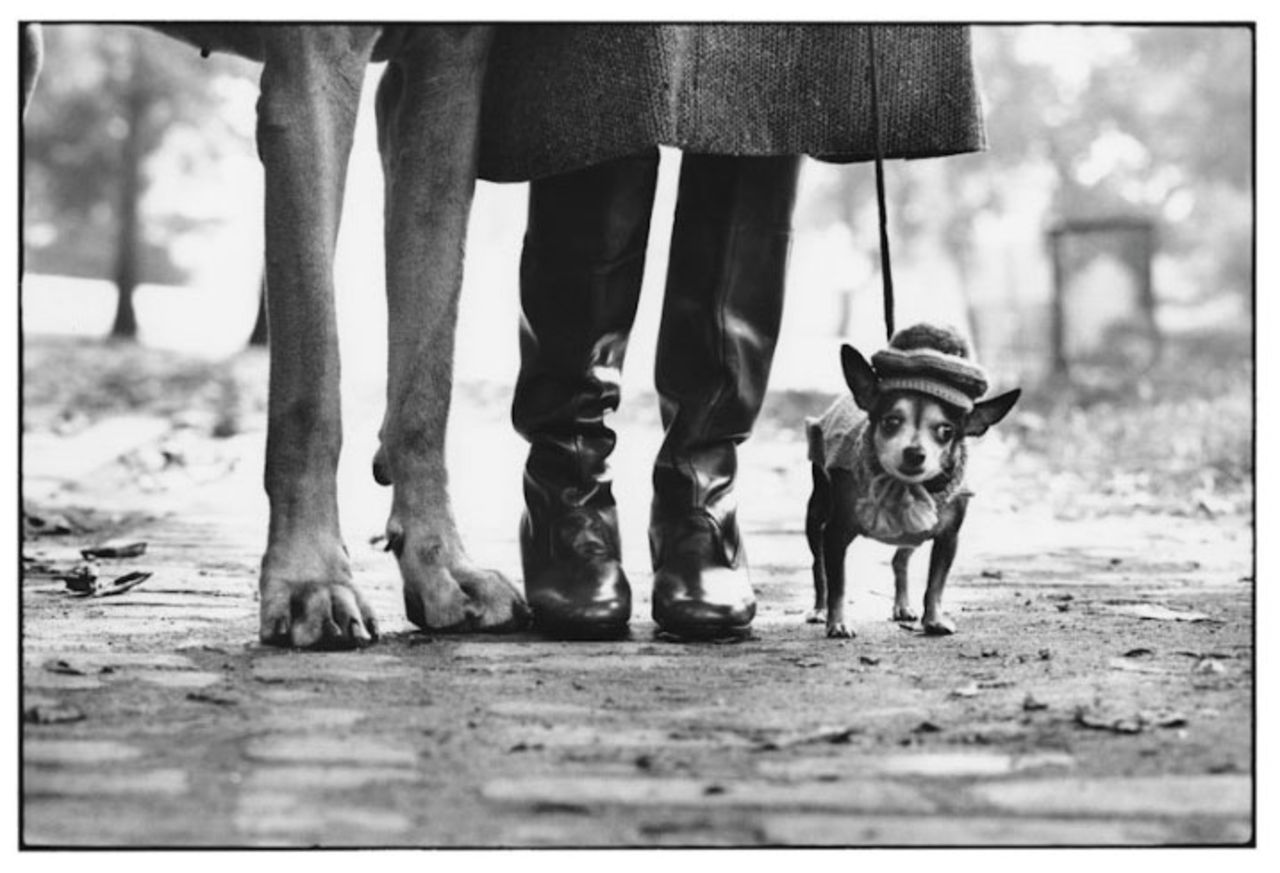 Elliott Erwitt ställer ut på Fotografiska