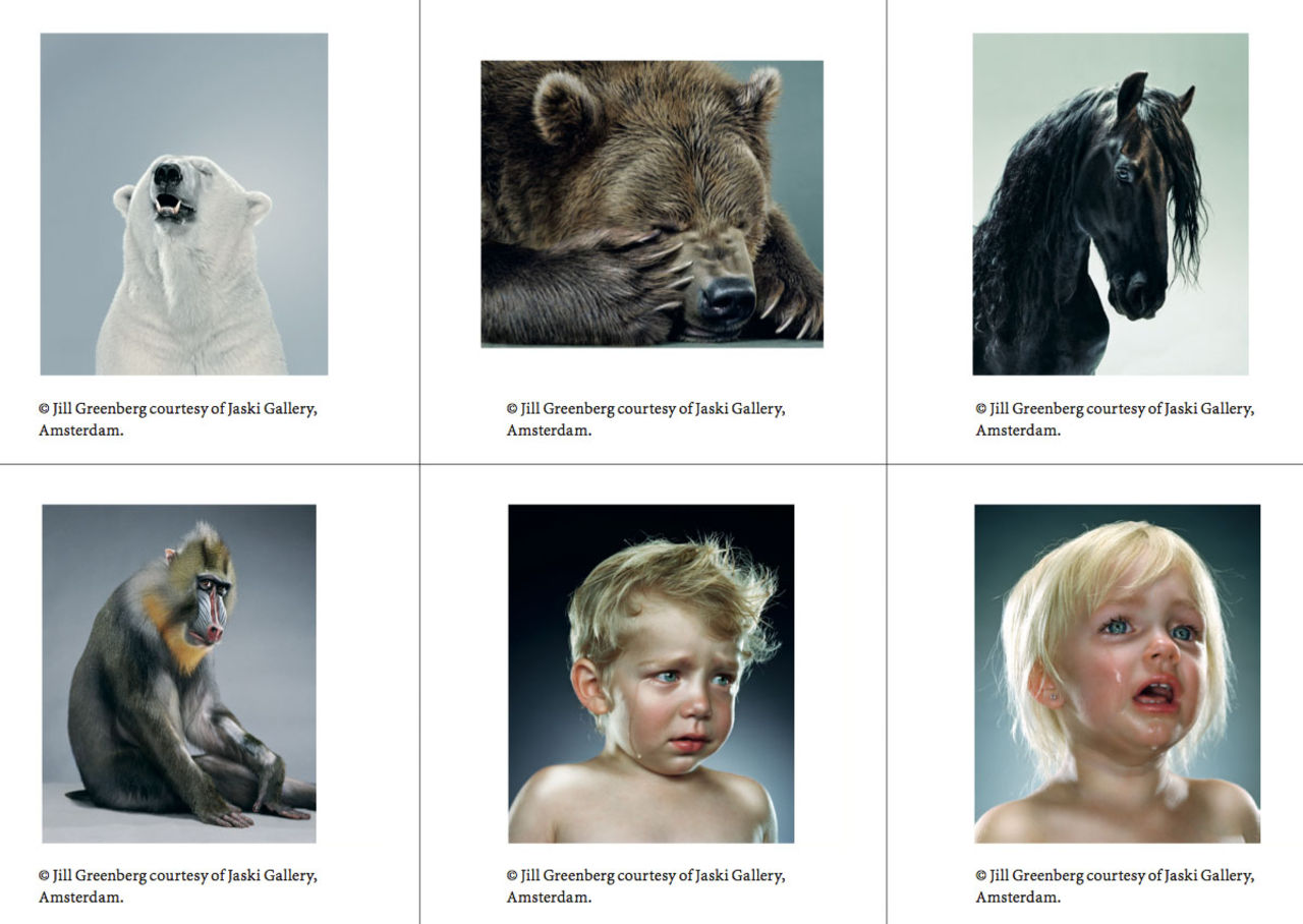 Jill Greenberg till Fotografiska