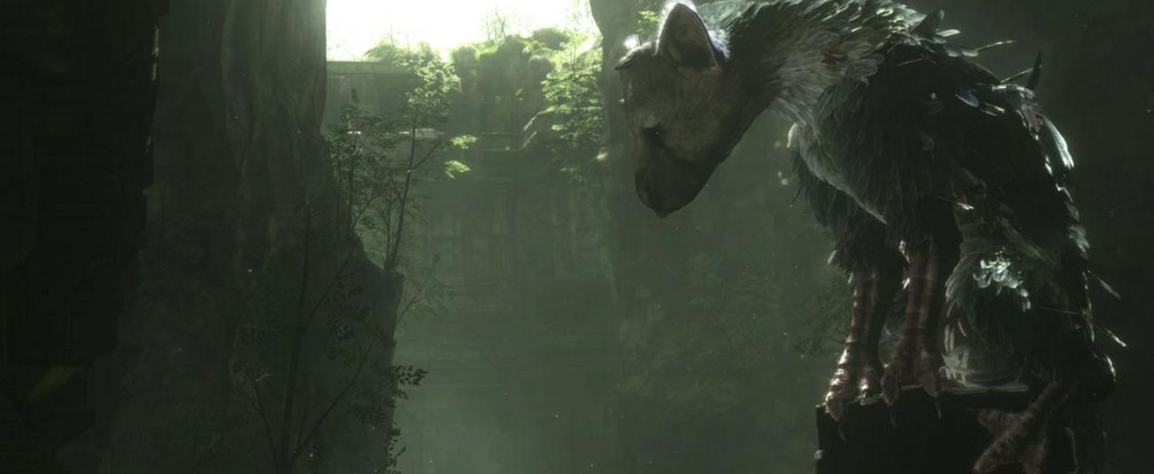 Fumito Ueda är hemskt ledsen