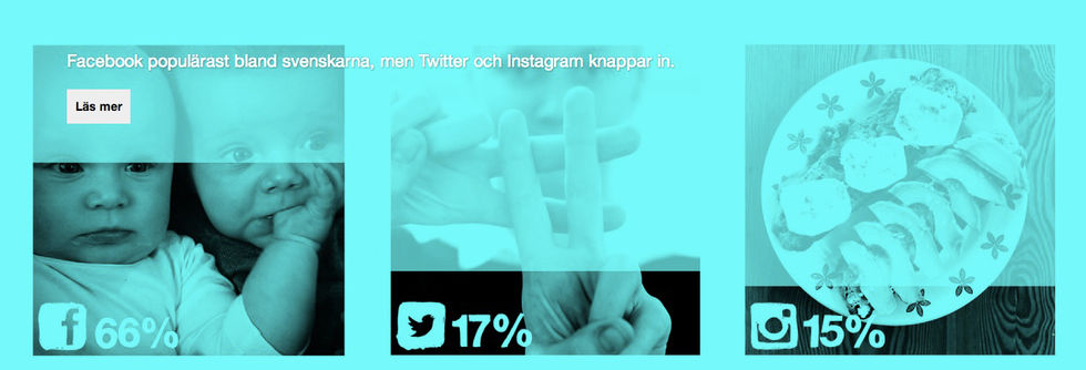 Svenskarna och Internet 2013