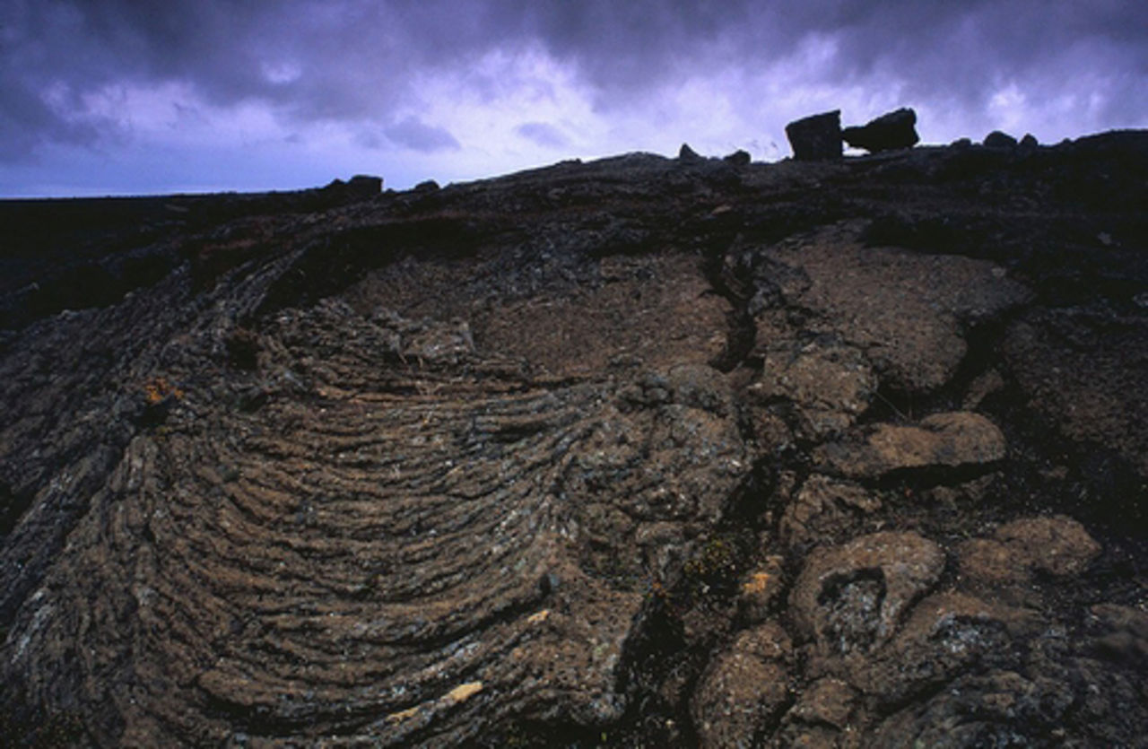 Hellesø i skrift