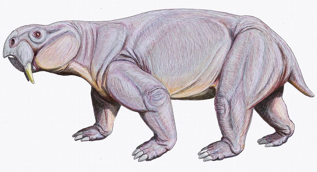 Urgammal dinosuarie-toalett hittad i Argentina