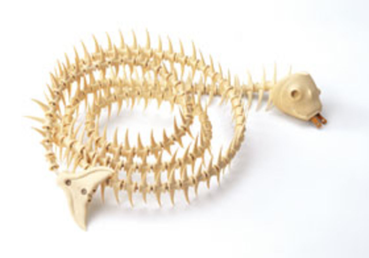 Benig förlängningssladd