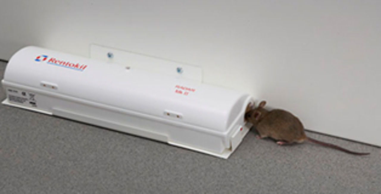 En råttfälla med laser och gas