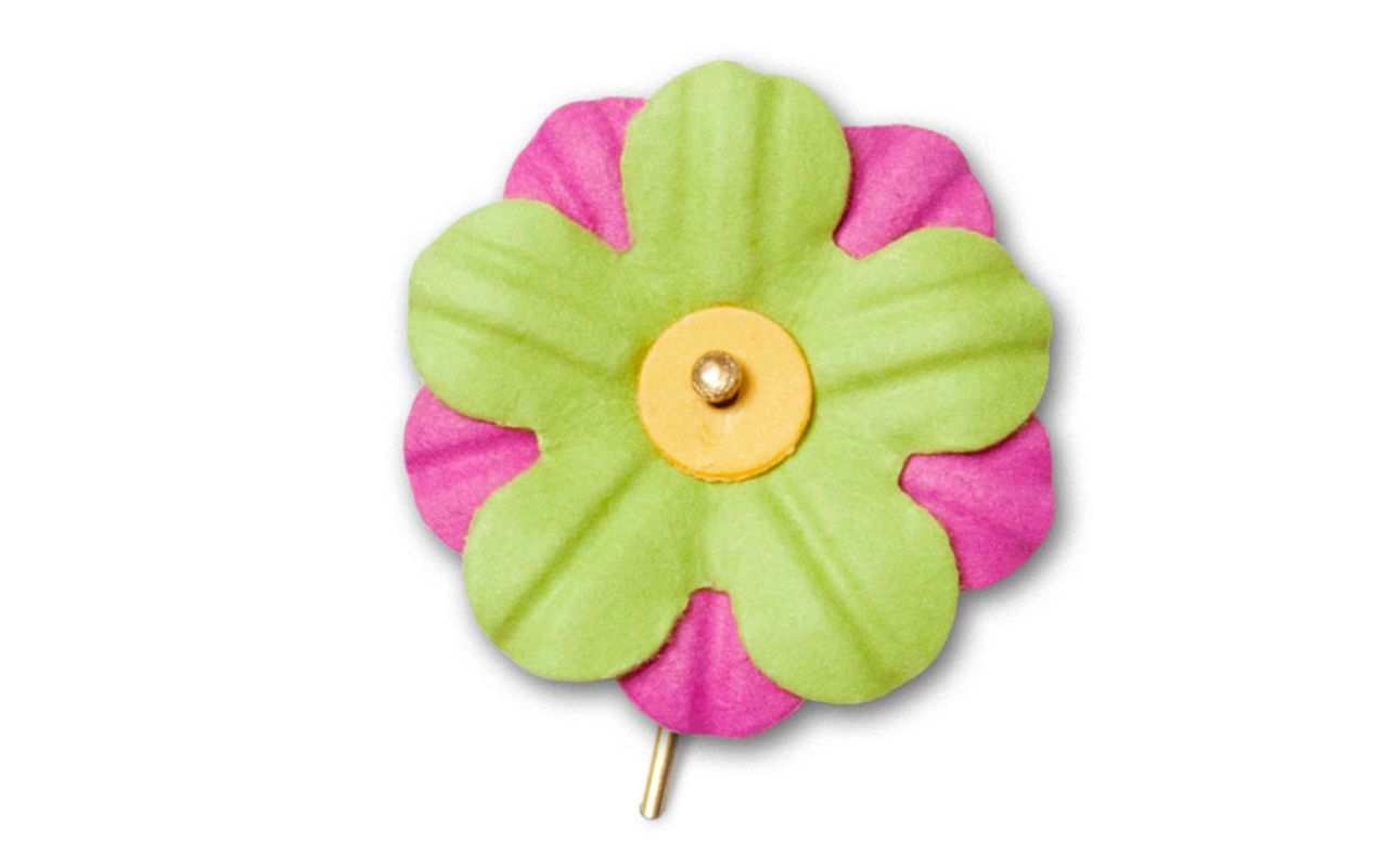 Årets majblomma presenterad