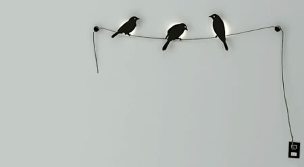 Birds on a wire - vacker belysning