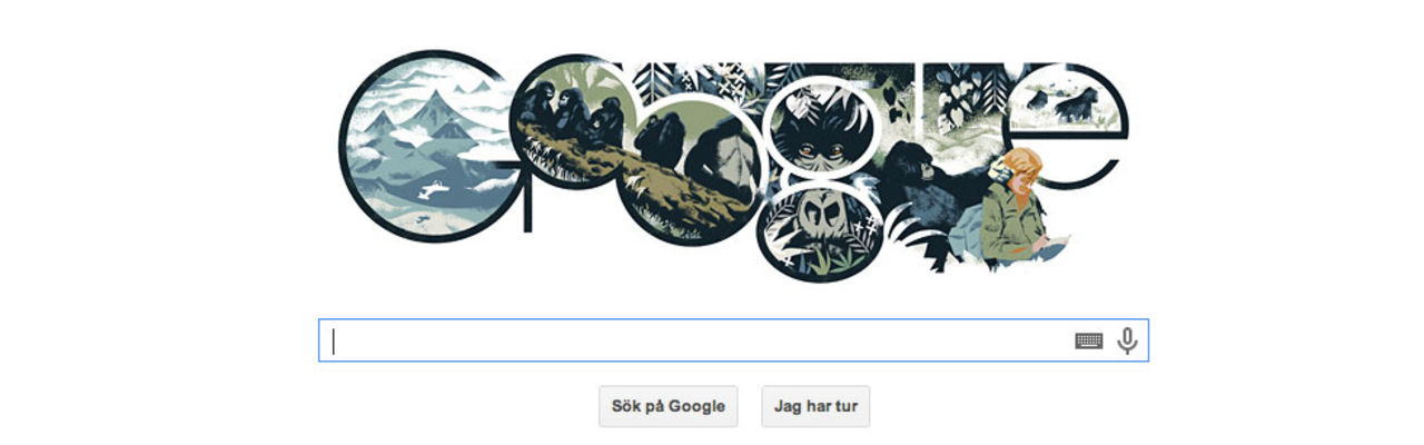 Google hyllar Dian Fossey