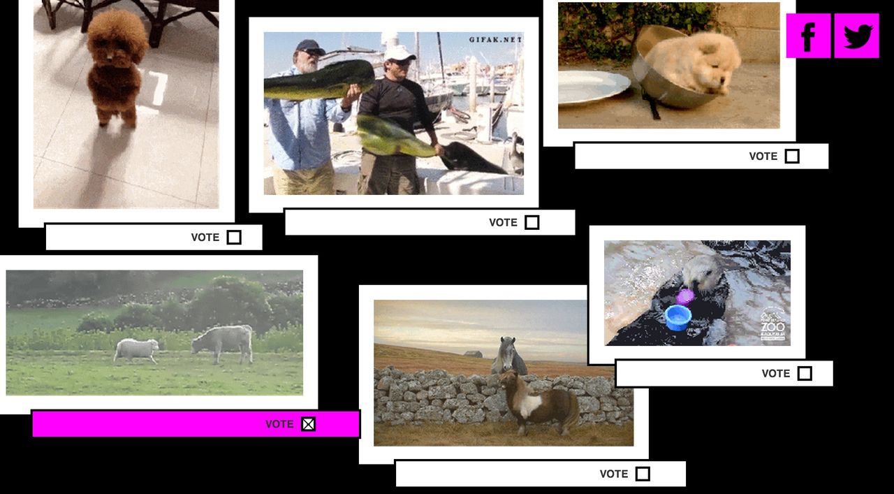 Rösta på förra årets bästa giffar