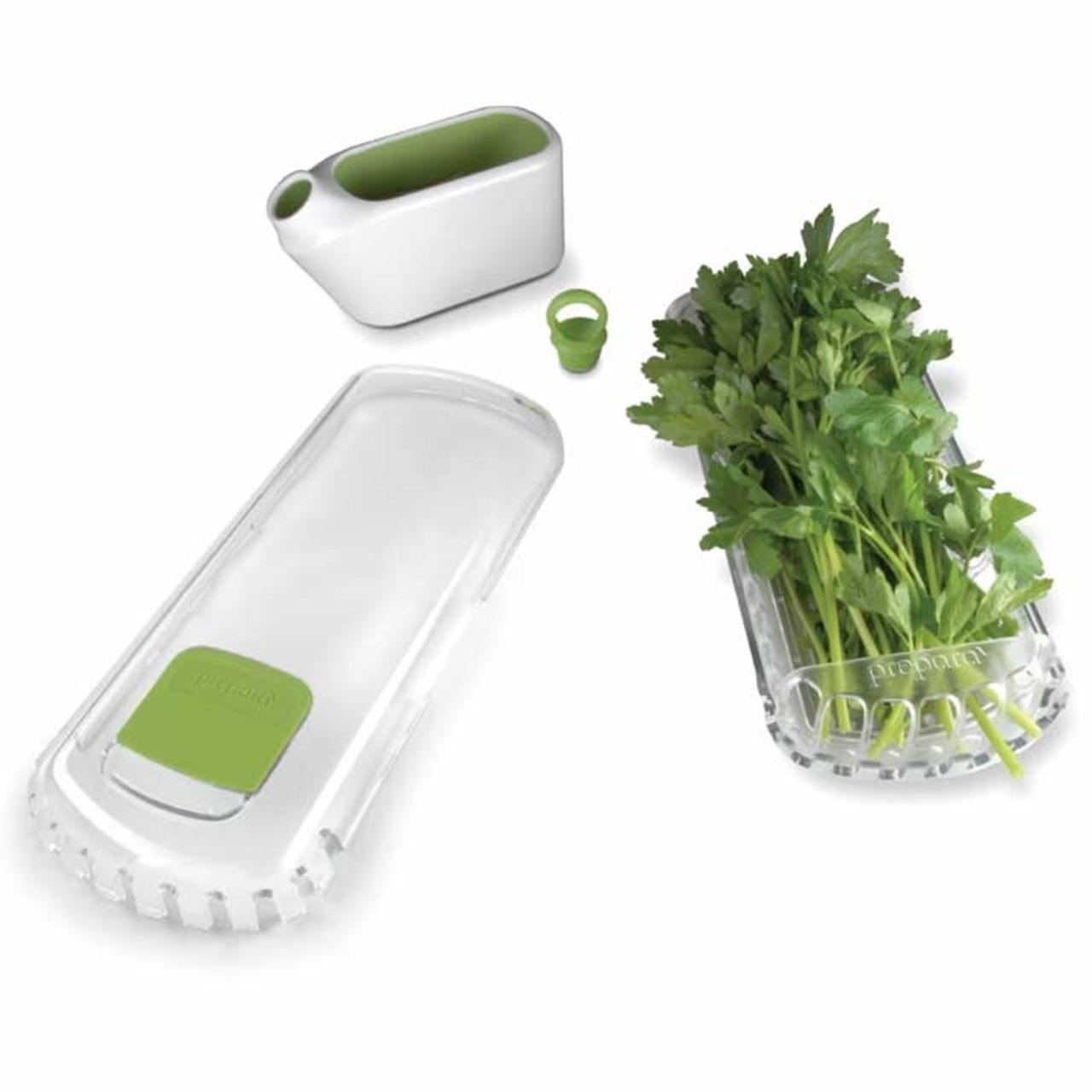 Håll liv i örterna med