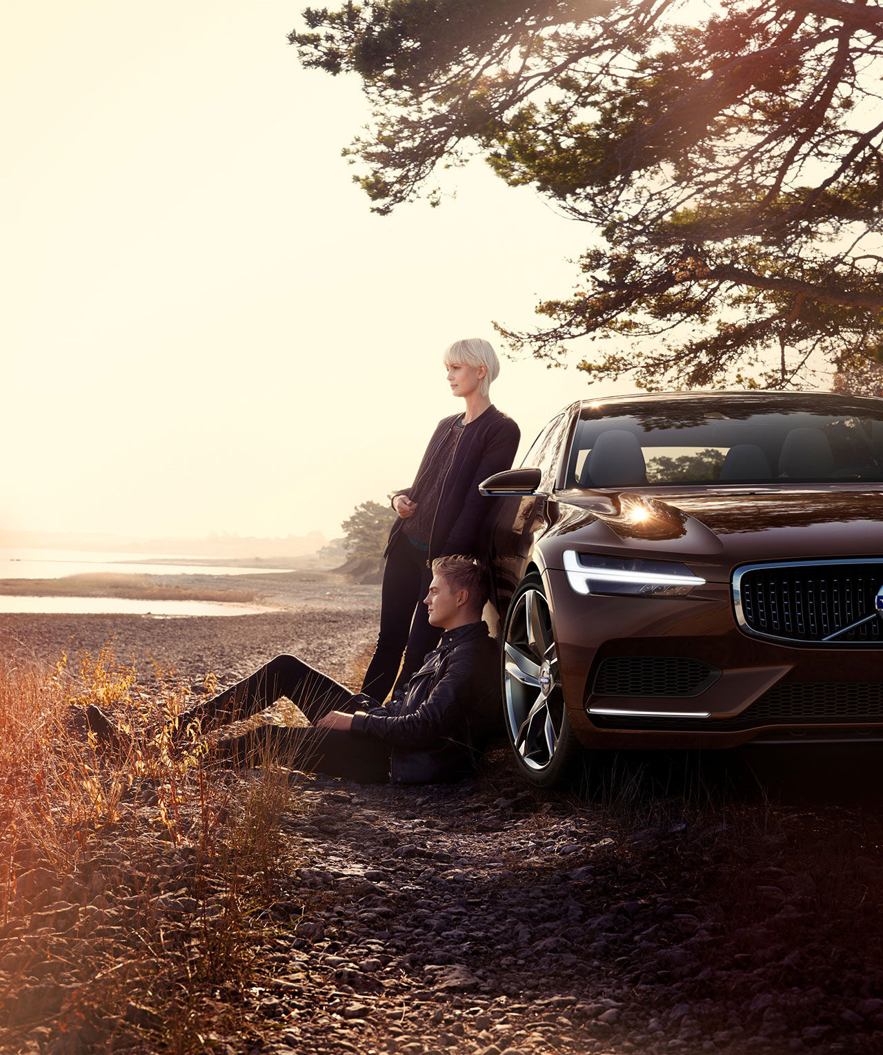 Mera Volvo Concept Estate