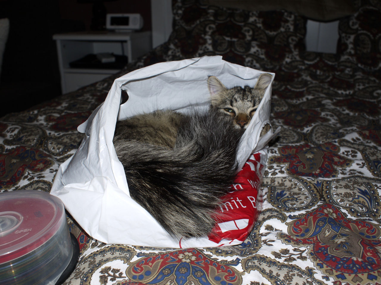 EU vill minska antalet plastpåsar med 80%