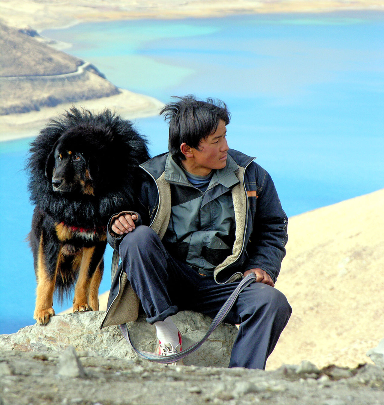 Världens dyraste hundvalp såld