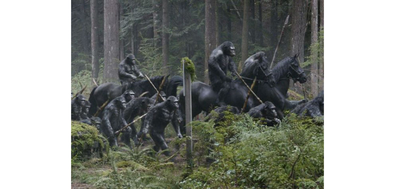 10 foton från Dawn of the Planet of the Apes