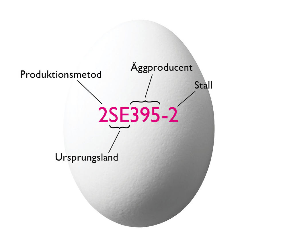 Äggstatistik