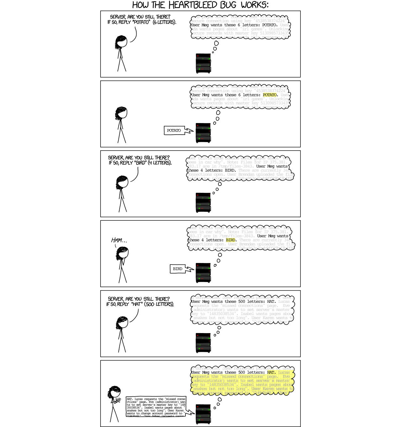 Så här fungerar Heartbleed-buggen