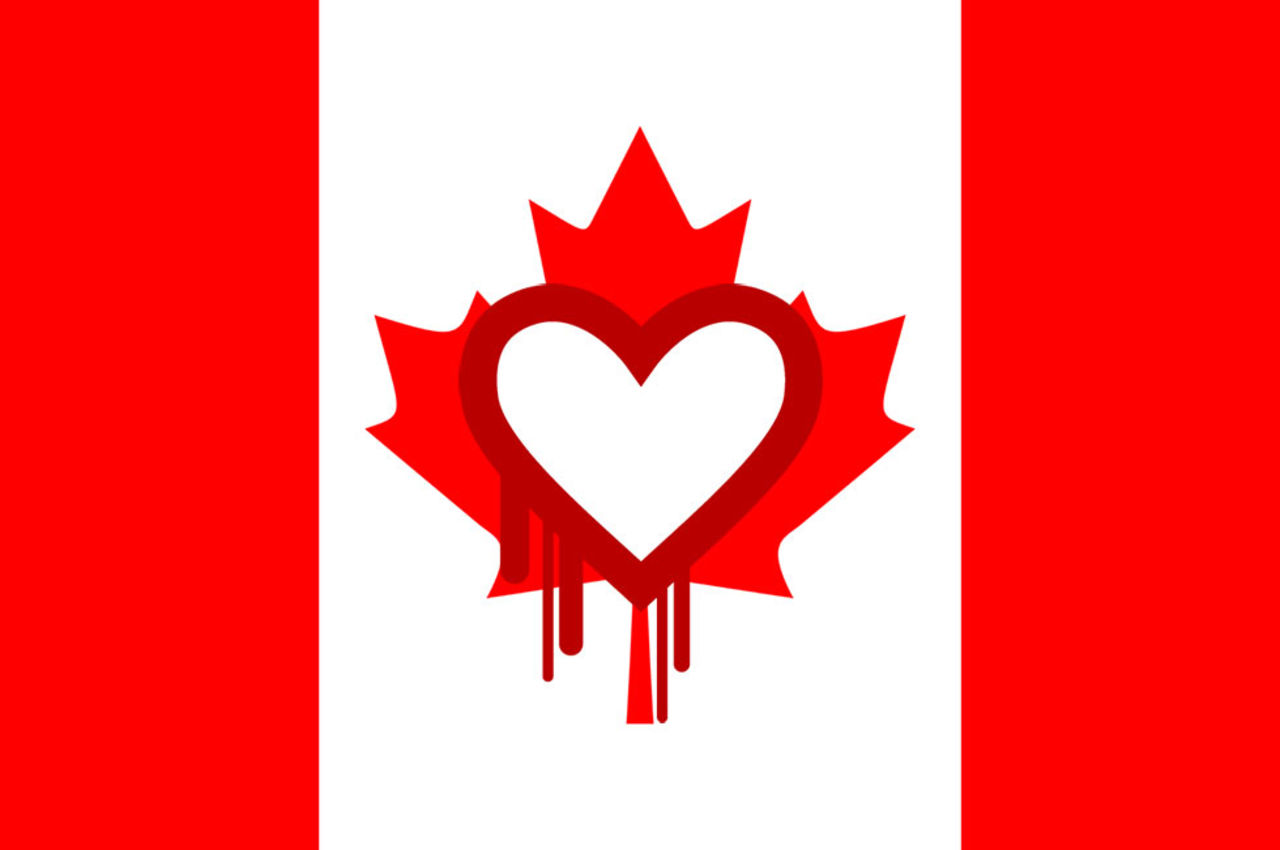 Första Heartbleed-hackaren gripen