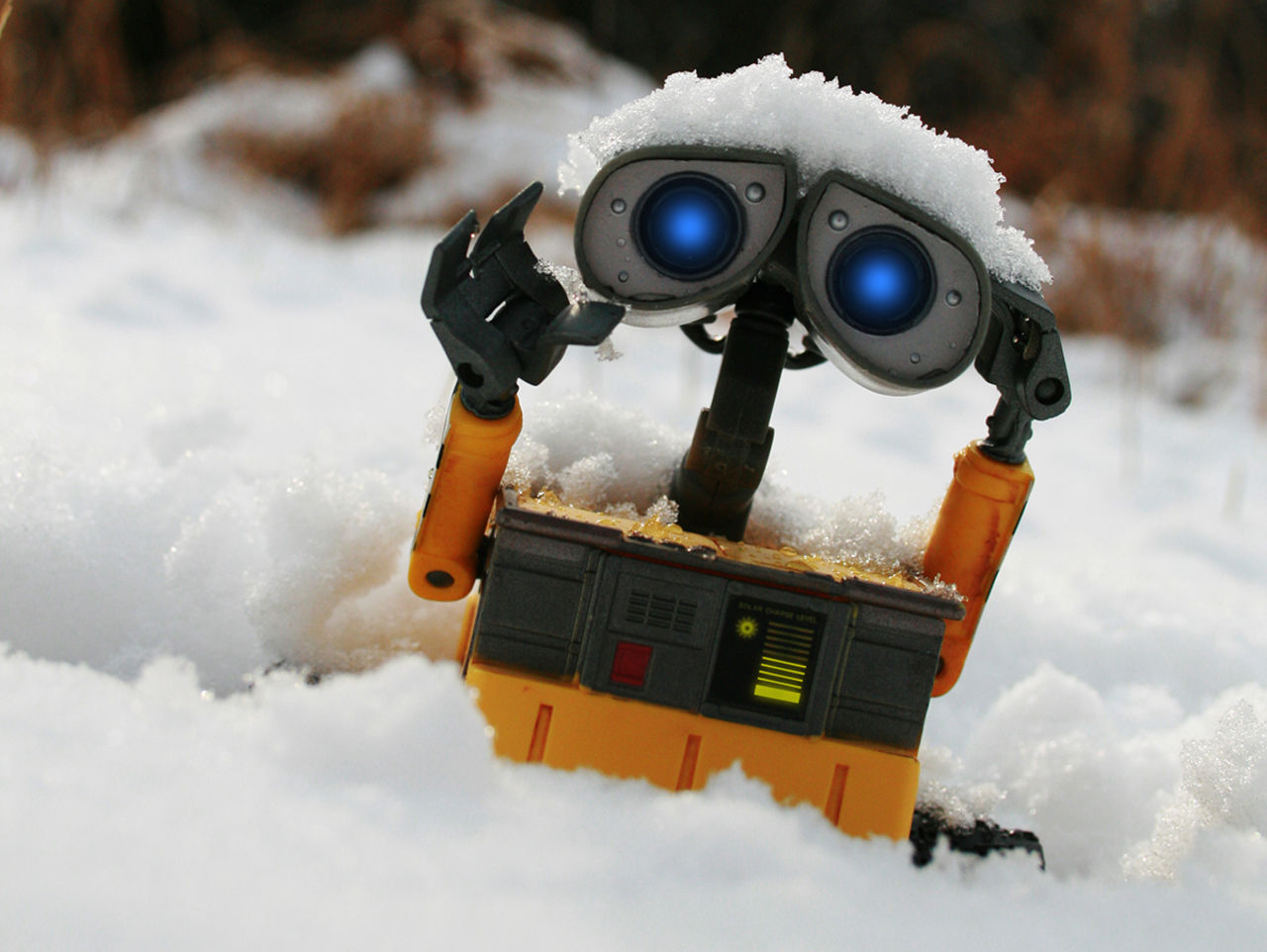 Robot bokade upp lägenheter i Gävle