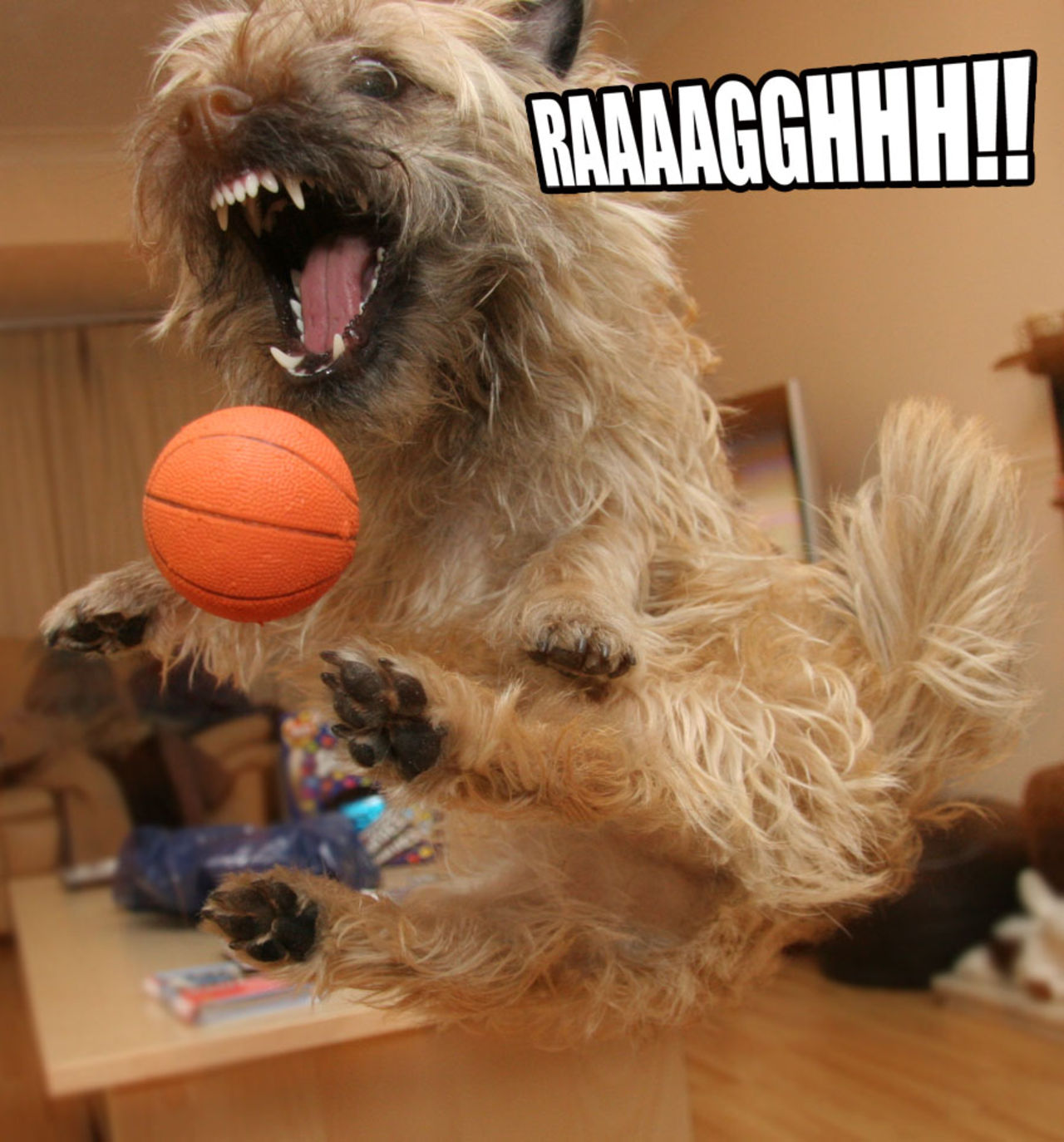 Telekommunikations-tjänster irriterar oss mest