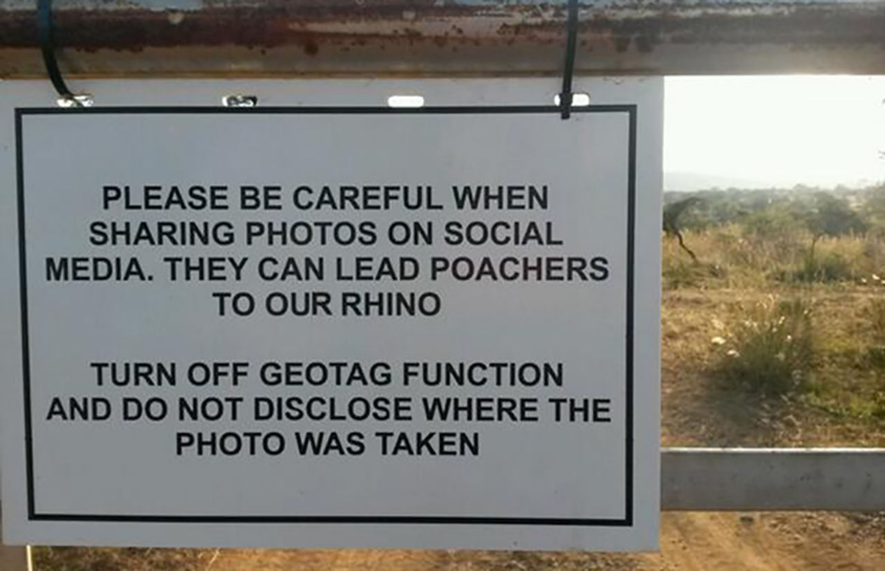 Tjuvskyttar använder geotaggade bilder för att hitta noshörningar