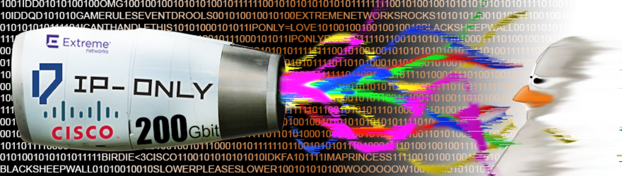 Lan-partyt Birdie satsar på hastighet