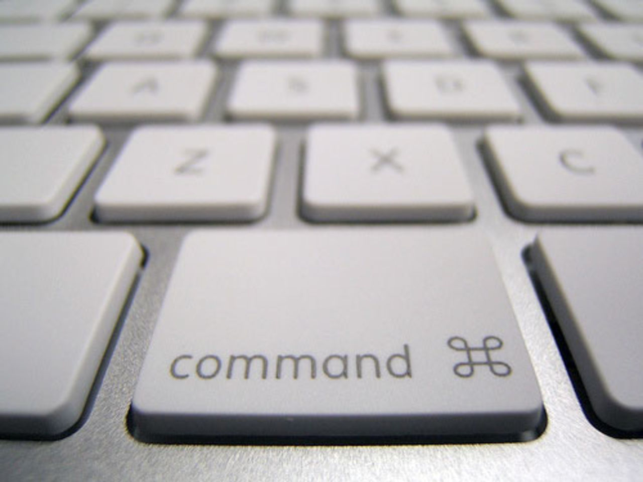 Leopard: Vad har försvunnit?