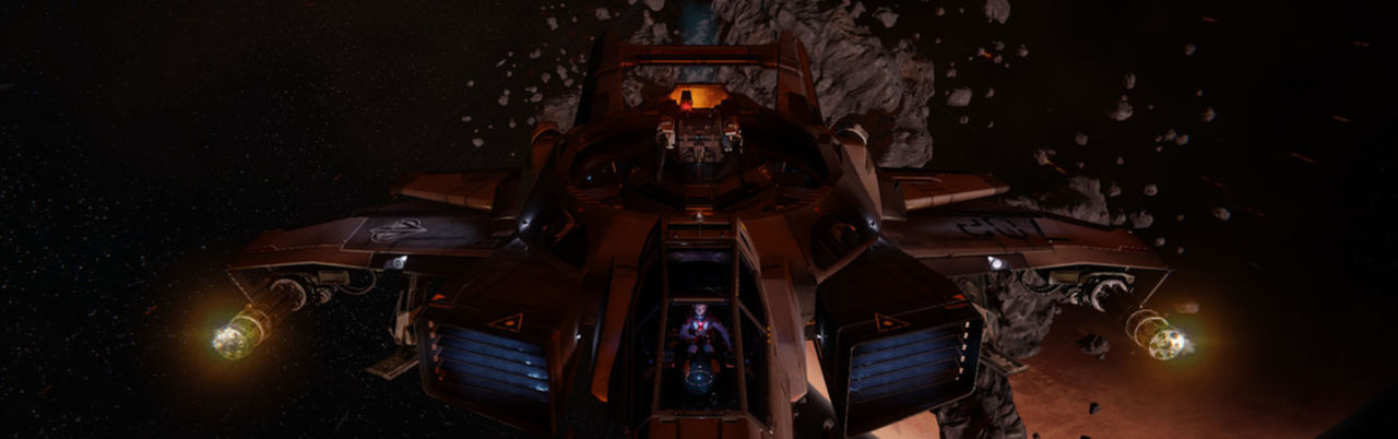 Inget Arena Commander för Star Citizen i dag 