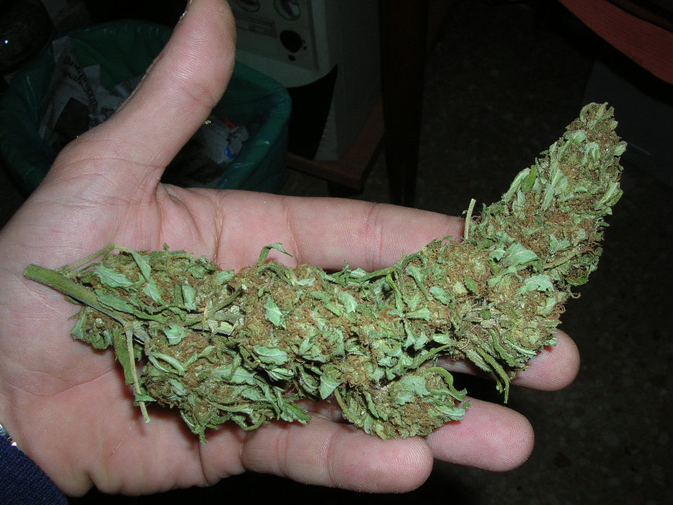 Cannabis kan leda till onormala spermier