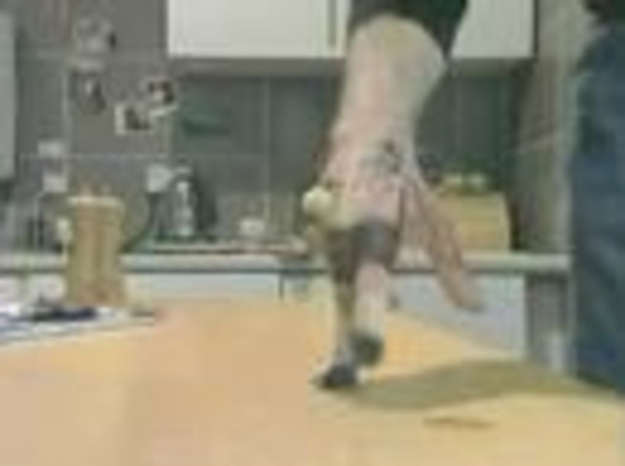 Mad skillz med papperskula
