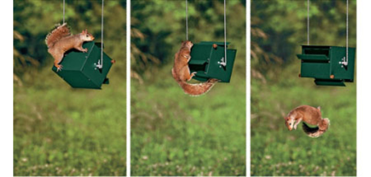 Smart fågelbord