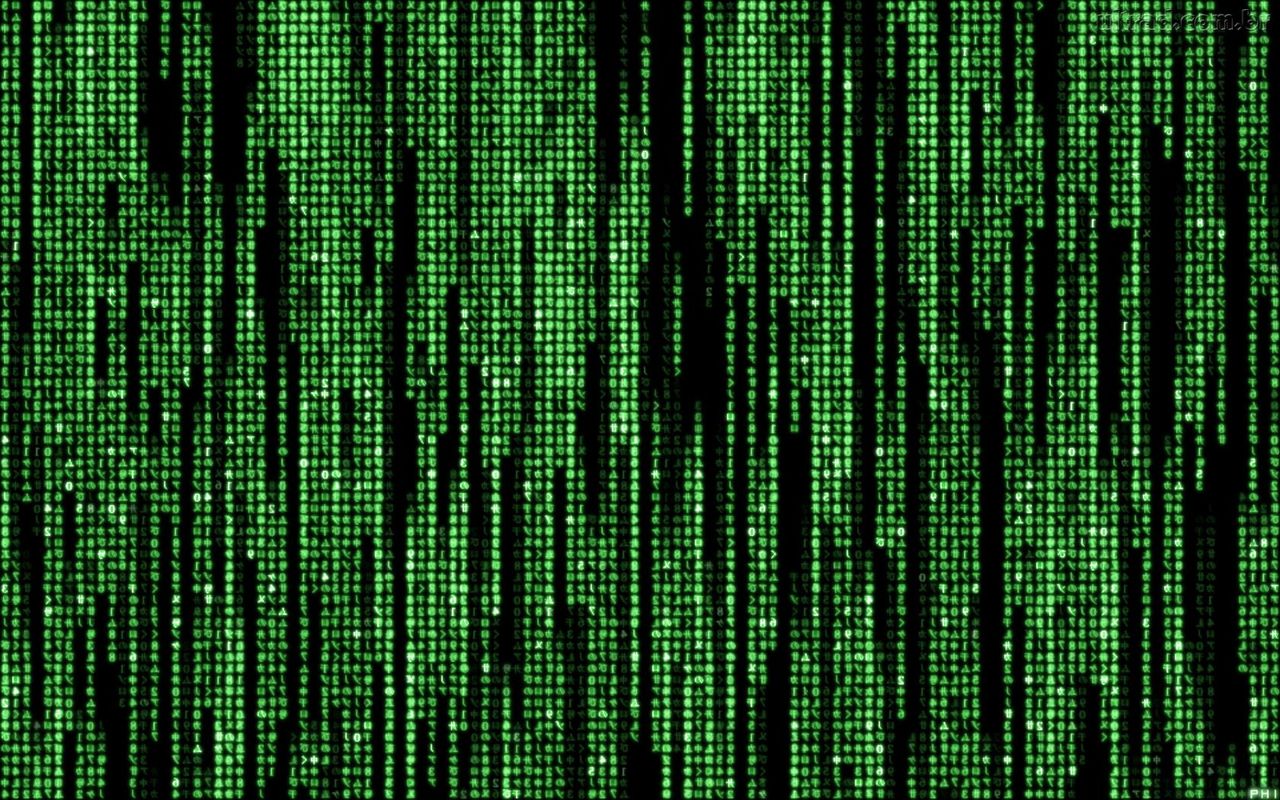Är detta världens bästa programmerare?